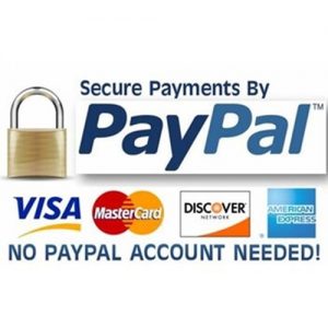 PayPal QR code Scan Pay Banner